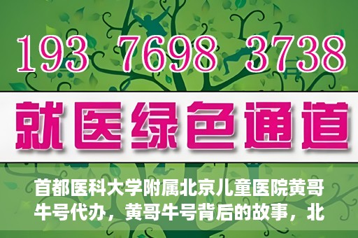 首都医科大学附属北京儿童医院黄哥牛号代办，黄哥牛号背后的故事，北京儿童医院名医背后的故事与探索。