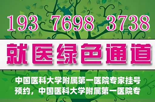中国医科大学附属第一医院专家挂号预约，中国医科大学附属第一医院专家挂号预约攻略，一站式解决您的就医难题