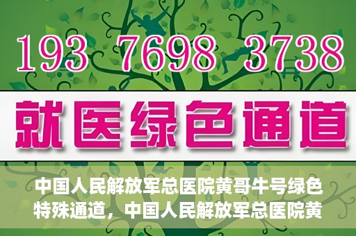 中国人民解放军总医院黄哥牛号绿色特殊通道，中国人民解放军总医院黄哥牛号，绿色特殊通道开启健康之门