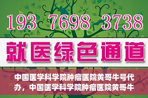 中国医学科学院肿瘤医院黄哥牛号代办，中国医学科学院肿瘤医院黄哥牛号挂号代办服务解析