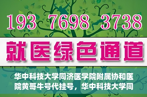 华中科技大学同济医学院附属协和医院黄哥牛号代挂号，华中科技大学同济医学院附属协和医院黄哥牛号代挂号服务详解