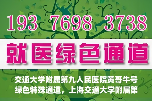 交通大学附属第九人民医院黄哥牛号绿色特殊通道，上海交通大学附属第九人民医院黄哥牛号，绿色特殊通道开启健康之门