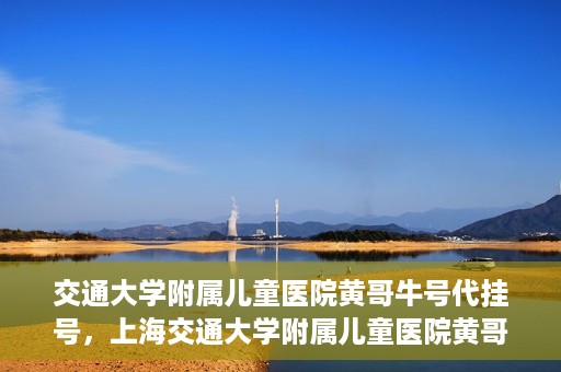 交通大学附属儿童医院黄哥牛号代挂号，上海交通大学附属儿童医院黄哥牛号代挂号攻略