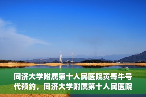 同济大学附属第十人民医院黄哥牛号代预约，同济大学附属第十人民医院黄哥牛号预约服务启动