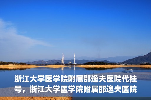 浙江大学医学院附属邵逸夫医院代挂号，浙江大学医学院附属邵逸夫医院代挂号服务详解