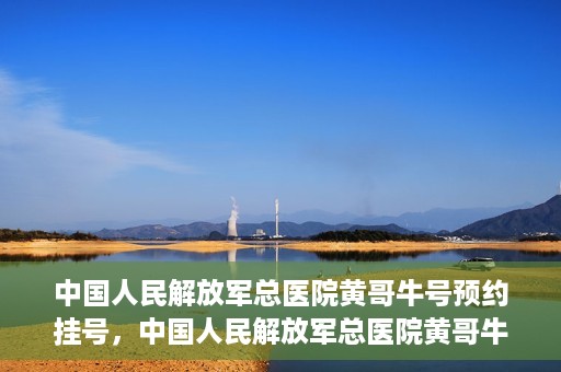 中国人民解放军总医院黄哥牛号预约挂号，中国人民解放军总医院黄哥牛号预约挂号攻略解析