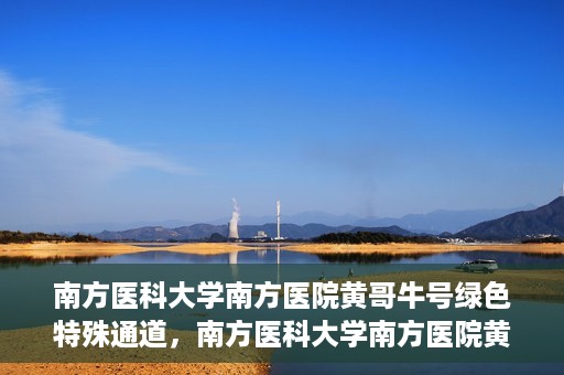 南方医科大学南方医院黄哥牛号绿色特殊通道，南方医科大学南方医院黄哥牛号，绿色特殊通道开启健康之门
