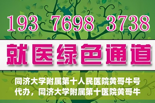 同济大学附属第十人民医院黄哥牛号代办，同济大学附属第十医院黄哥牛号预约代办服务解析