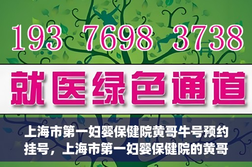 上海市第一妇婴保健院黄哥牛号预约挂号，上海市第一妇婴保健院的黄哥牛号预约挂号攻略