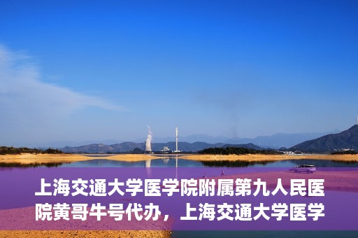 上海交通大学医学院附属第九人民医院黄哥牛号代办，上海交通大学医学院附属第九人民医院黄哥牛号业务代办攻略