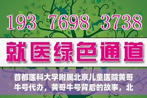 首都医科大学附属北京儿童医院黄哥牛号代办，黄哥牛号背后的故事，北京儿童医院名医背后的故事与探索。