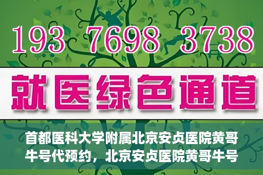 首都医科大学附属北京安贞医院黄哥牛号代预约，北京安贞医院黄哥牛号预约服务解析