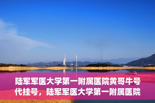 陆军军医大学第一附属医院黄哥牛号代挂号，陆军军医大学第一附属医院黄哥牛号助您轻松挂号就医