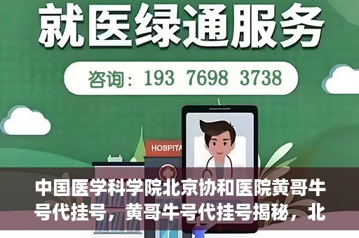 中国医学科学院北京协和医院黄哥牛号代挂号，黄哥牛号代挂号揭秘，北京协和医院挂号背后的故事