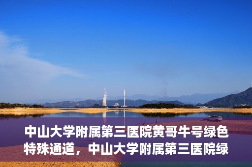 中山大学附属第三医院黄哥牛号绿色特殊通道，中山大学附属第三医院绿色特殊通道，黄哥牛号引领医疗创新之路