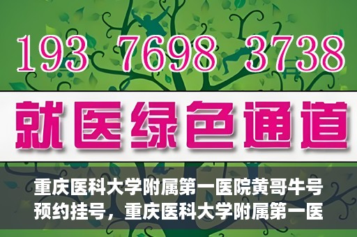 重庆医科大学附属第一医院黄哥牛号预约挂号，重庆医科大学附属第一医院黄哥牛号预约挂号攻略