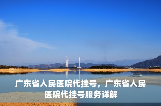 广东省人民医院代挂号，广东省人民医院代挂号服务详解