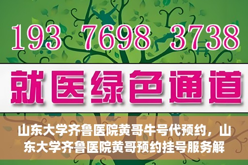 山东大学齐鲁医院黄哥牛号代预约，山东大学齐鲁医院黄哥预约挂号服务解析
