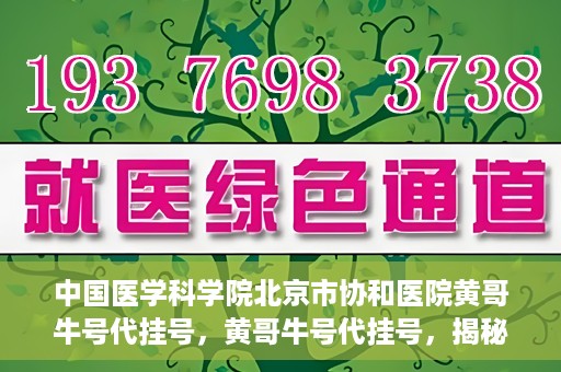 中国医学科学院北京市协和医院黄哥牛号代挂号，黄哥牛号代挂号，揭秘中国医学科学院北京市协和医院挂号背后的故事