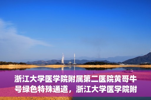 浙江大学医学院附属第二医院黄哥牛号绿色特殊通道，浙江大学医学院附属第二医院黄哥牛号，绿色特殊通道开启
