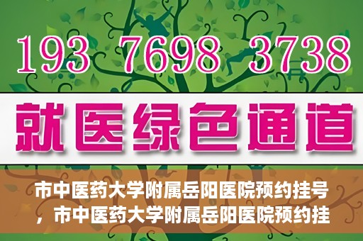 市中医药大学附属岳阳医院预约挂号，市中医药大学附属岳阳医院预约挂号攻略，便捷就医从这里开始