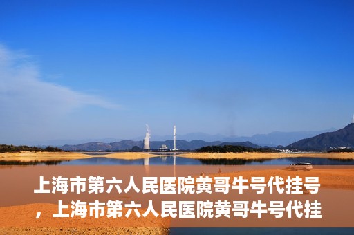 上海市第六人民医院黄哥牛号代挂号，上海市第六人民医院黄哥牛号代挂号攻略揭秘