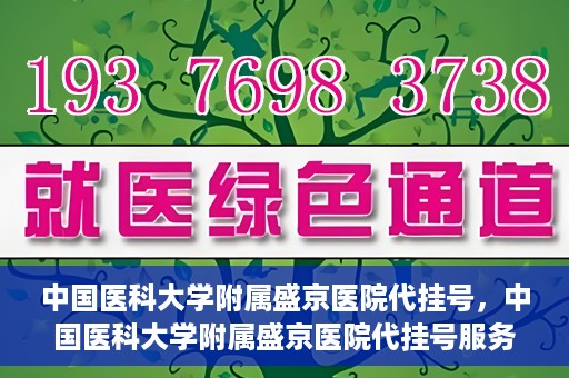 中国医科大学附属盛京医院代挂号，中国医科大学附属盛京医院代挂号服务详解