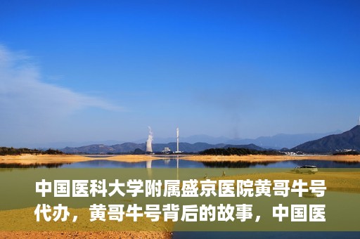 中国医科大学附属盛京医院黄哥牛号代办，黄哥牛号背后的故事，中国医科大学附属盛京医院的信赖之选