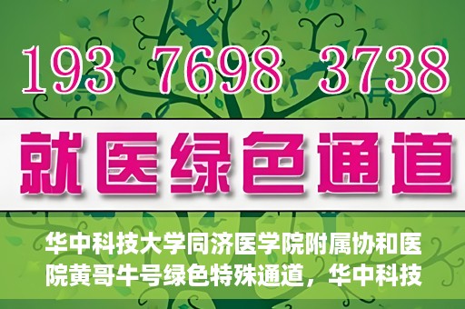 华中科技大学同济医学院附属协和医院黄哥牛号绿色特殊通道，华中科技大学同济医学院附属协和医院黄哥牛号绿色就医特殊通道揭秘