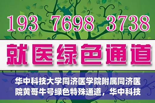 华中科技大学同济医学院附属同济医院黄哥牛号绿色特殊通道，华中科技大学同济医院黄哥牛号绿色特殊通道揭秘