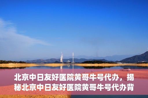 北京中日友好医院黄哥牛号代办，揭秘北京中日友好医院黄哥牛号代办背后的故事
