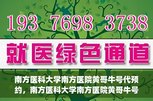 南方医科大学南方医院黄哥牛号代预约，南方医科大学南方医院黄哥牛号预约服务解析