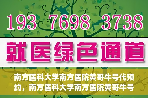 南方医科大学南方医院黄哥牛号代预约，南方医科大学南方医院黄哥牛号预约服务解析