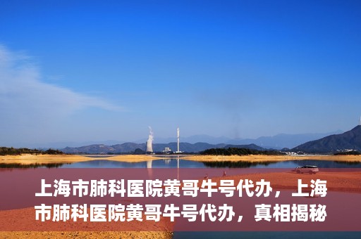 上海市肺科医院黄哥牛号代办，上海市肺科医院黄哥牛号代办，真相揭秘与深度解读