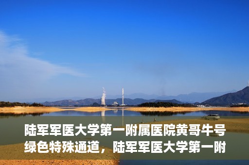 陆军军医大学第一附属医院黄哥牛号绿色特殊通道，陆军军医大学第一附属医院黄哥牛号，绿色特殊通道开启健康之门