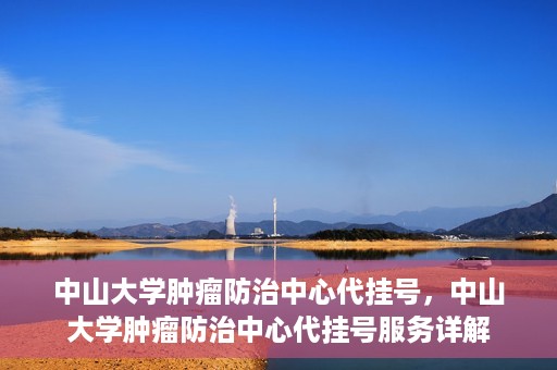 中山大学肿瘤防治中心代挂号，中山大学肿瘤防治中心代挂号服务详解