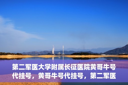 第二军医大学附属长征医院黄哥牛号代挂号，黄哥牛号代挂号，第二军医大学附属长征医院的便捷就医之路