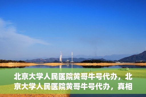 北京大学人民医院黄哥牛号代办，北京大学人民医院黄哥牛号代办，真相揭秘与深度解读