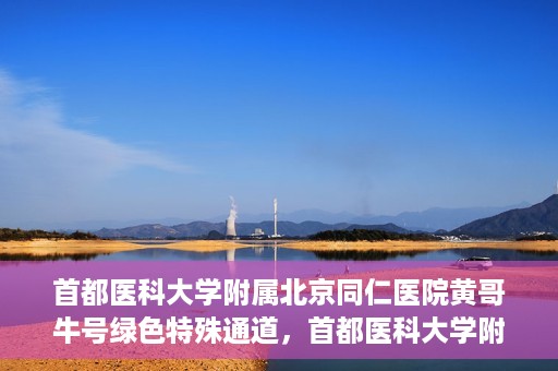 首都医科大学附属北京同仁医院黄哥牛号绿色特殊通道，首都医科大学附属北京同仁医院黄哥牛号，绿色特殊通道开启健康之门