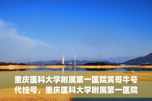 重庆医科大学附属第一医院黄哥牛号代挂号，重庆医科大学附属第一医院黄哥牛号代挂号服务解析