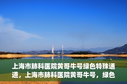 上海市肺科医院黄哥牛号绿色特殊通道，上海市肺科医院黄哥牛号，绿色特殊通道开启健康之门