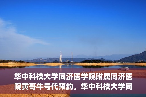 华中科技大学同济医学院附属同济医院黄哥牛号代预约，华中科技大学同济医院黄哥牛号预约服务解析