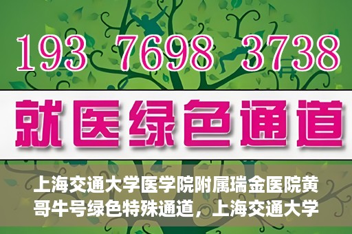 上海交通大学医学院附属瑞金医院黄哥牛号绿色特殊通道，上海交通大学医学院附属瑞金医院黄哥牛号，绿色特殊通道开启健康之门