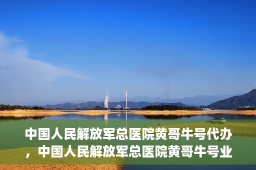 中国人民解放军总医院黄哥牛号代办，中国人民解放军总医院黄哥牛号业务代办揭秘