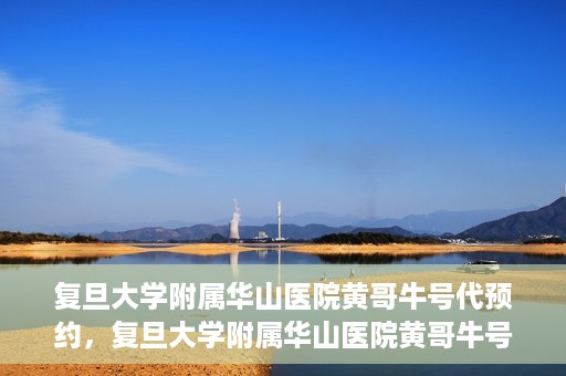 复旦大学附属华山医院黄哥牛号代预约，复旦大学附属华山医院黄哥牛号预约服务解析