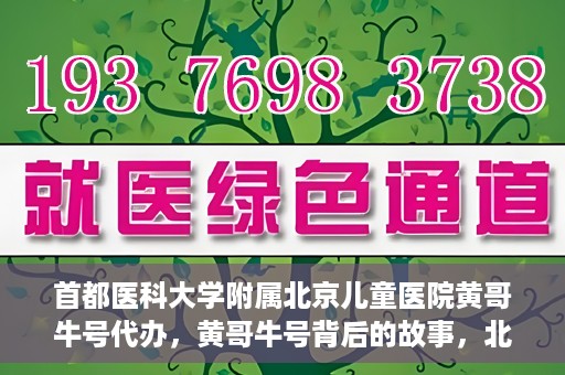 首都医科大学附属北京儿童医院黄哥牛号代办，黄哥牛号背后的故事，北京儿童医院名医背后的故事与探索。
