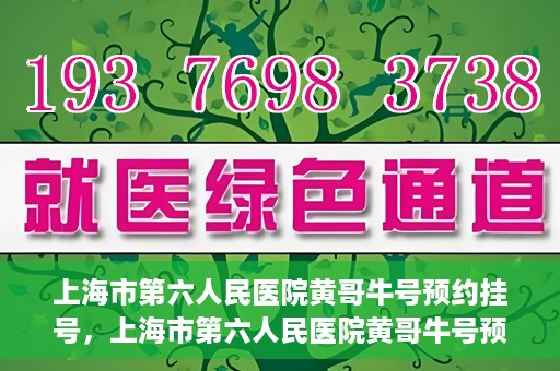 上海市第六人民医院黄哥牛号预约挂号，上海市第六人民医院黄哥牛号预约挂号攻略，轻松挂号，便捷就医体验