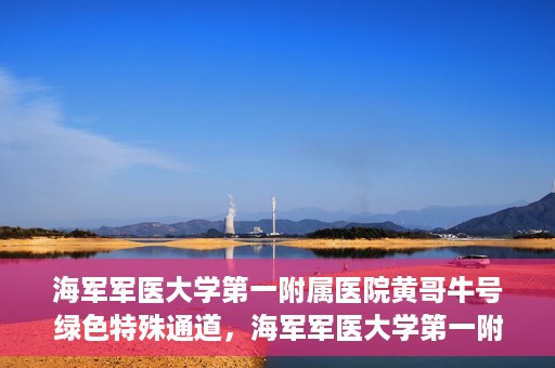 海军军医大学第一附属医院黄哥牛号绿色特殊通道，海军军医大学第一附属医院黄哥牛号，绿色特殊通道开启