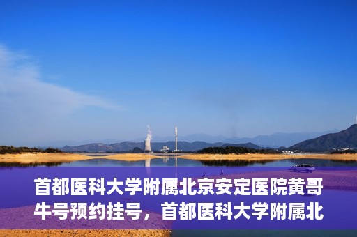 首都医科大学附属北京安定医院黄哥牛号预约挂号，首都医科大学附属北京安定医院黄哥牛号预约挂号指南