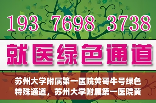 苏州大学附属第一医院黄哥牛号绿色特殊通道，苏州大学附属第一医院黄哥牛号，绿色特殊通道的守护力量